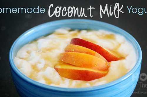 Homemade Coconut Milk Yogurt | HomeInTheShire.com