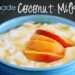 Homemade Coconut Milk Yogurt | HomeInTheShire.com