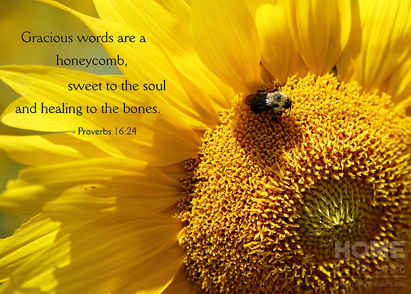 Proverbs 16:24 | HomeInTheShire.com