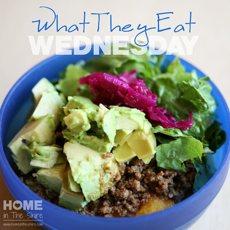 GAPS Taco Tuesday | HomeInTheShire.com