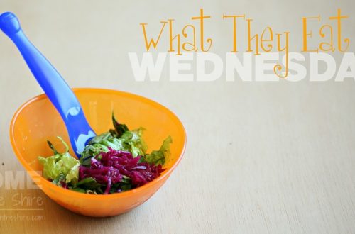 Toddler GAPS Lunch | HomeInTheShire.com