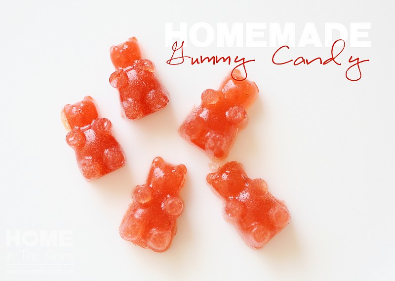 Healthy Homemade Fruit Snacks | HomeInTheShire.com