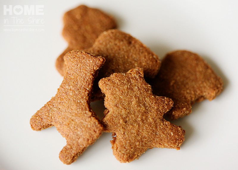 AllergyFriendly Animal Crackers (GAPS, Paleo, GrainFree, GlutenFree