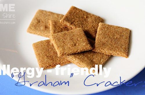 Allergy-Friendly "Graham" Crackers | HomeInTheShire.com