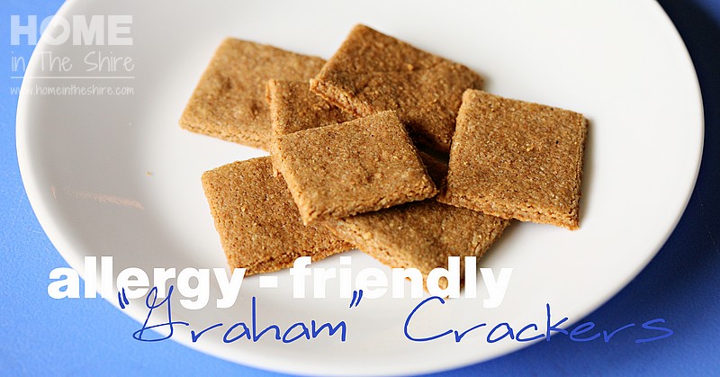 Allergy-Friendly "Graham" Crackers | HomeInTheShire.com