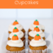 Gluten & Dairy Free Pumpkin Cupcakes Recipe