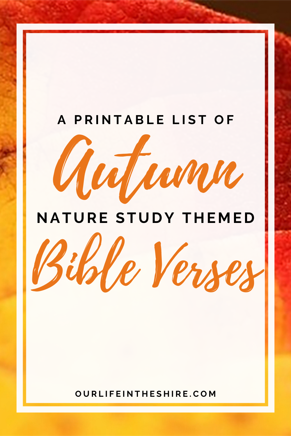 Fall Nature Related Bible Verses