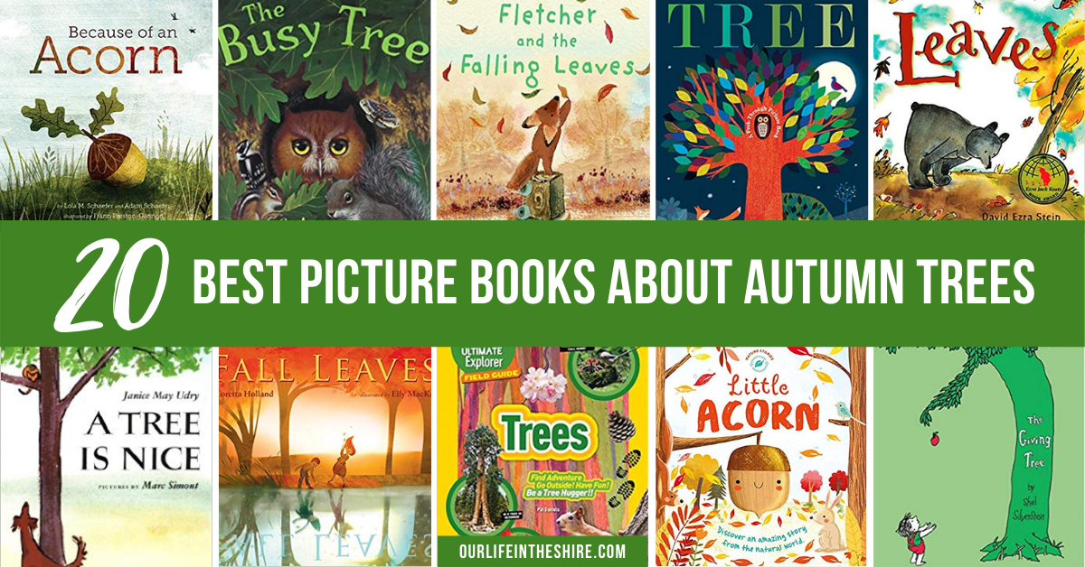 Best Picture Books for an Autumn Tree Nature Study