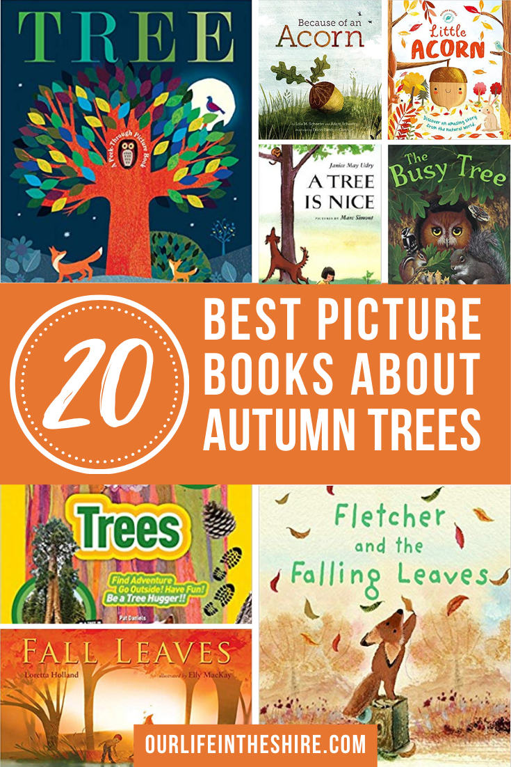 Best Picture Books for an Autumn Tree Nature Study