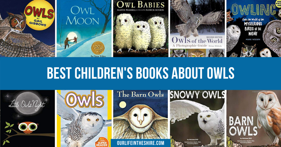 Best Children's Books about Owls