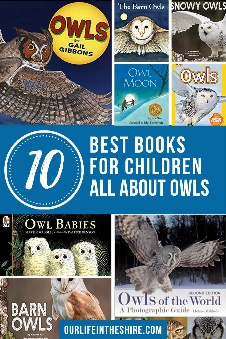 Best books for children about owls